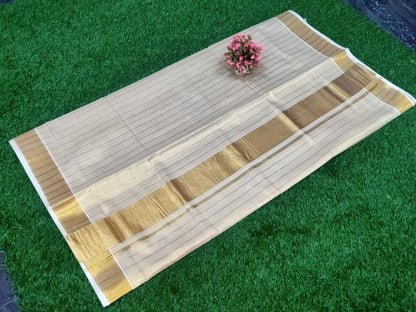 Gold tissue vertical line saree